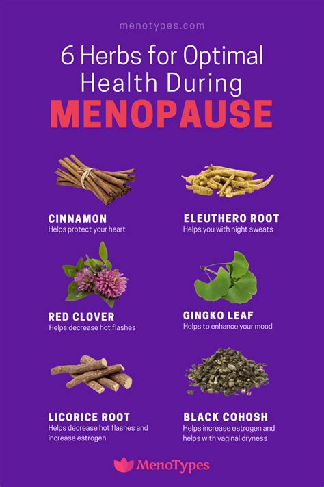 Natural Remedies For Perimenopause Symptoms Supplements Treatments