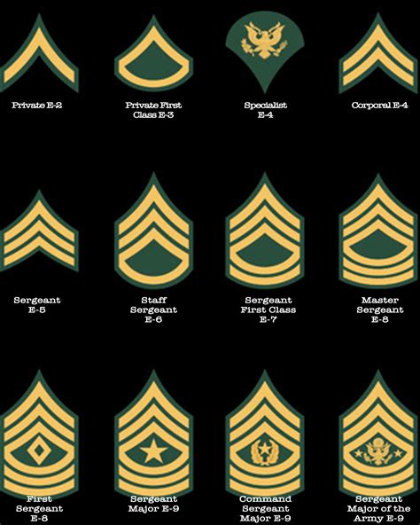 9 Army NCO Ranks in Order