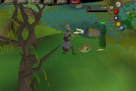 Old School Runescape Arrives On Mobile Devices In October Variety