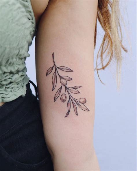 Olive Branch Tattoo Arm