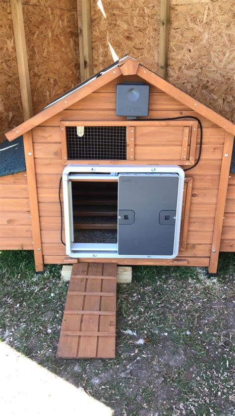 Omelet Chicken Coop Door Solutions for Backyard Farmers