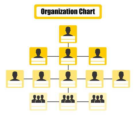 Organizational Chart Definition Examples Templates