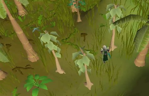 Osrs The Best Ways To Level Up Woodcutting Fandomspot