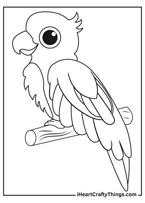 Parrot Coloring Page