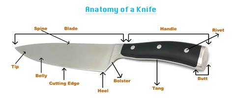 Understanding the Parts of a Knife