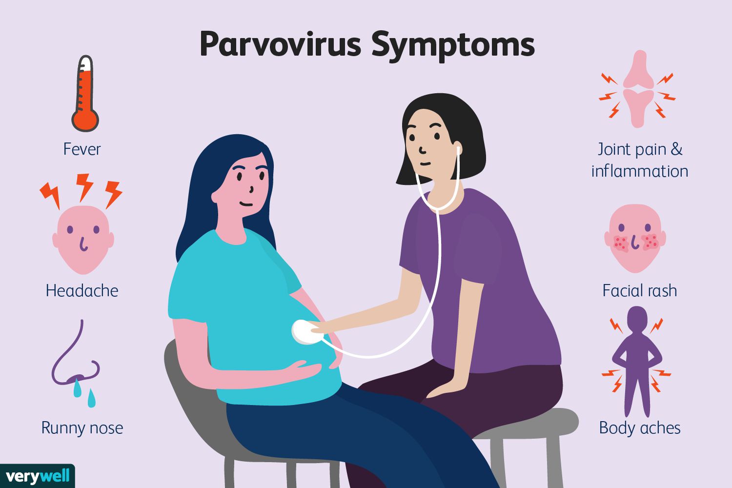 Parvovirus