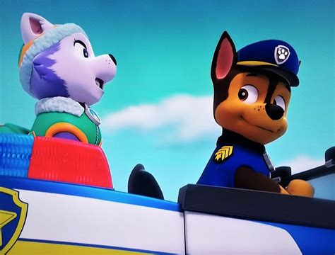 Paw Patrol Chase And Everest