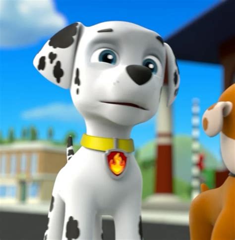 Paw Patrol Dalmatian