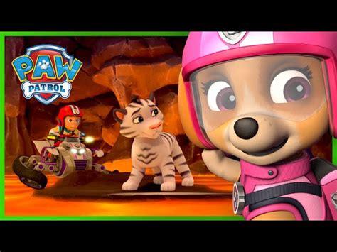 Paw Patrol Skye Saves The Tigers English Esl Video Lessons