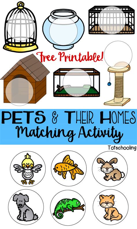 Pets Amp Their Homes Matching Activity Totschooling Toddler Preschool Kindergarten