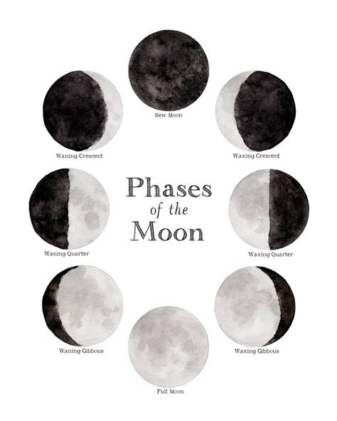 Phases Of The Moon Print For Both The Northern And Southern Hemispheres