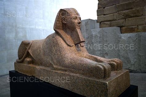 Photograph Sphinx Of Hatshepsut Metropolitan Mus Science Source Images