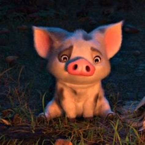 5 Fun Facts About Pua the Pig from Moana