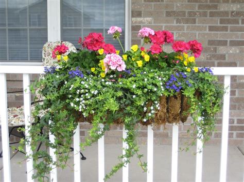 Pin On Plants Care Arrangements Containers