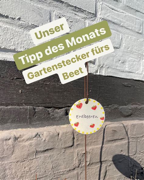 Pinselreif S Instagram Post Unser Tipp Des Monats Gartenstecker