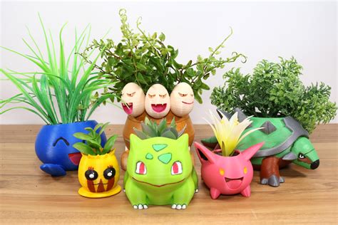 5 Plant Pot Pokémon to Collect