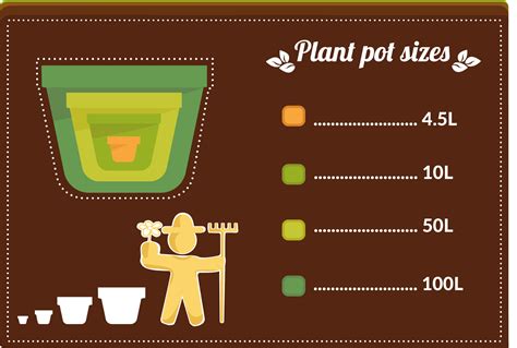 Plant Pot Sizes The Complete Guide Gardening Tips Advice And Inspiration