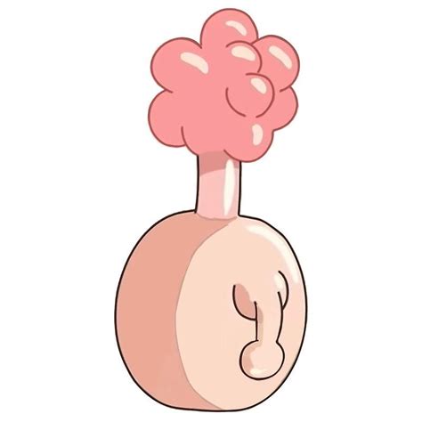 What is a Plumbus in Rick and Morty