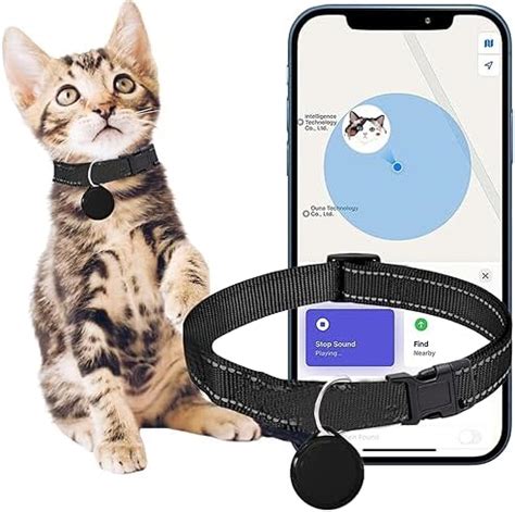 Popular Cat Gps Tracking Collar Buy Cheap Cat Gps Tracking Collar Lots From China Cat Gps