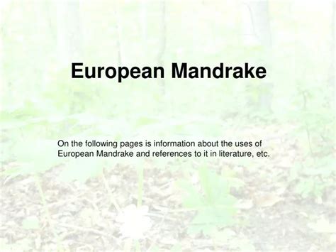 Ppt European Mandrake Powerpoint Presentation Free Download Id 4498590