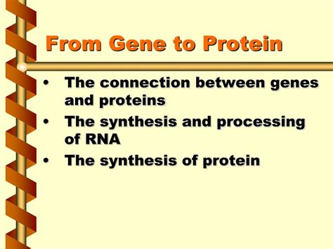 Ppt From Gene To Protein Powerpoint Presentation Free Download Id