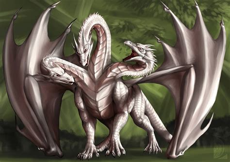 Present Three Head Dragon By Niabolla Dragon Drawing Fantasy Beasts