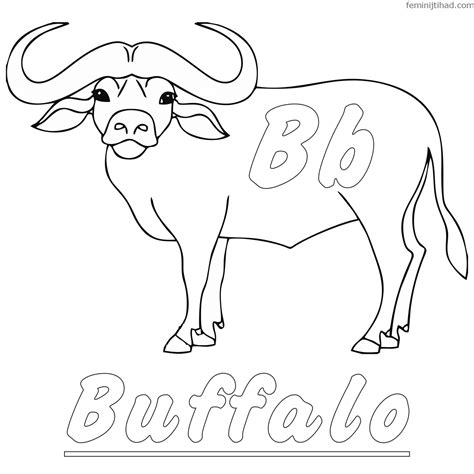 Free Printable Buffalo Pictures and Templates