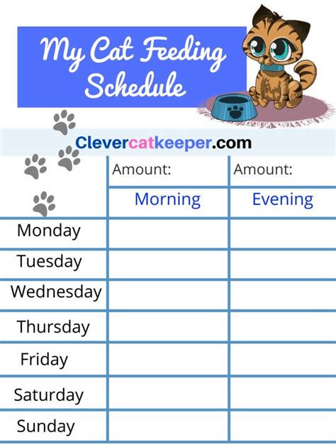 Printable Cat Feeding Schedule Chart