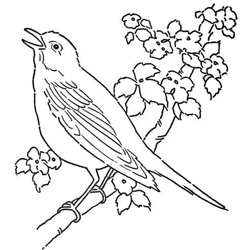 5 Free Printable Bird Coloring Pages for Kids