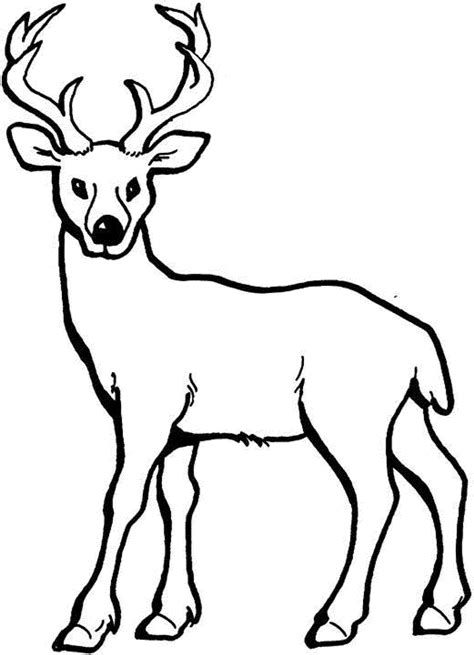 Free Printable Deer Coloring Pages for Kids and Adults