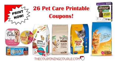 Printable Dog Food Coupons to Save You Money Now