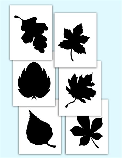 Free Printable Leaf Stencils for Kids and Adults