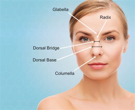 Measuring Your Nose Bridge with Printable Templates