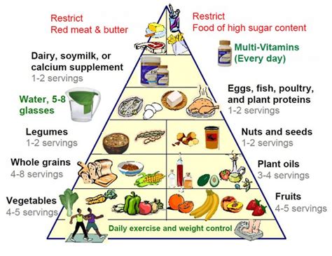 Printable New Food Pyramid