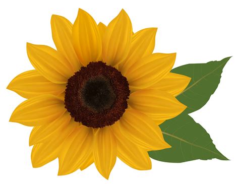 Colorful Printable Sunflowers for Instant Delight