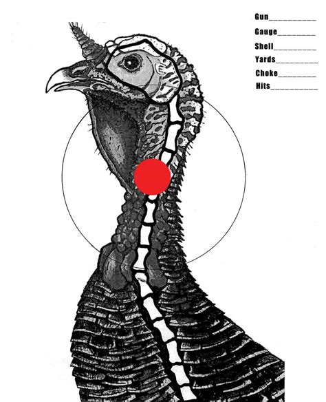 5 Free Printable Turkey Targets