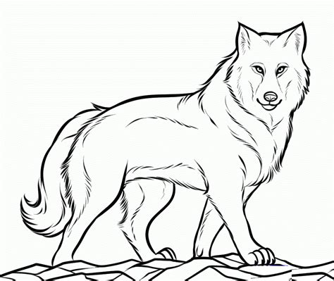 Wolf Coloring Pages for Adults and Kids to Print