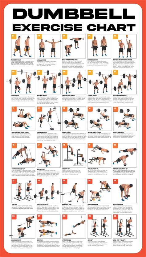 Printable Workout Plans Pdf