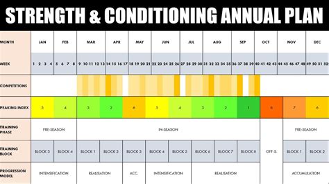 Programming Periodization Of Strength Conditioning Training Part