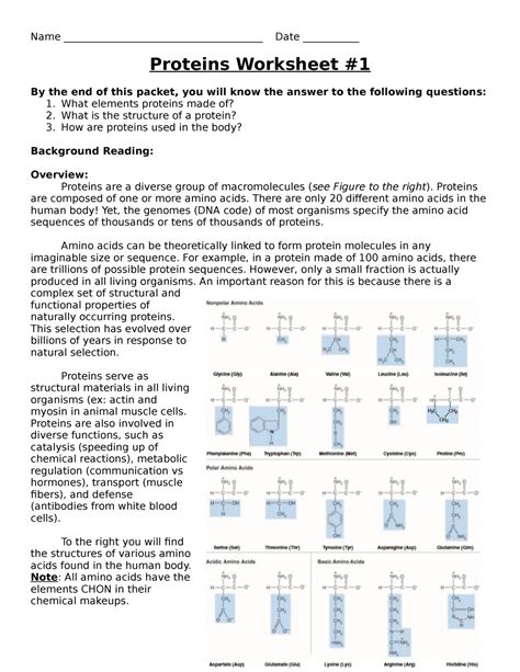 Proteins Worksheet 1 Name Date Proteins