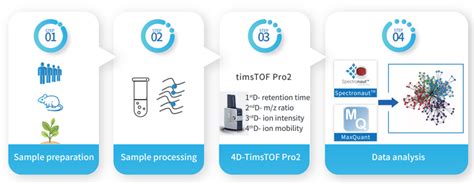 7 Top Proteomics Services Providers