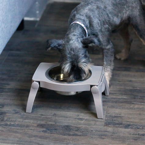 Raised Dog Bowl Stand Single Feeder Elevated Foldable Large Pet Water