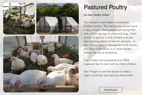 Raising Lectin Free Chicken Interview With Dan Walter Owner And