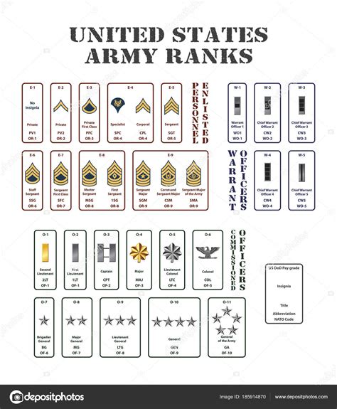 Rangos en el Army: Jerarquía Militar y Descripción