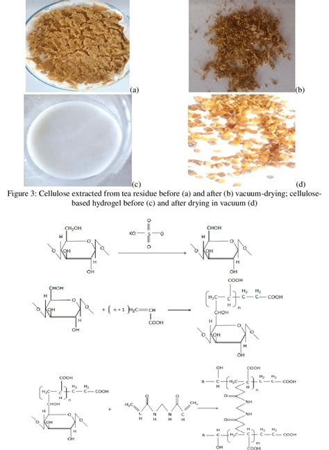 Reaction Scheme Of The Preparation Of The Cellulose Based Hydrogel In Download Scientific