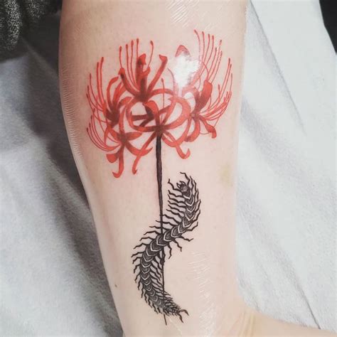 Red Spider Lily Tattoo Boas Ideias Para Tatuagem Tatuagens