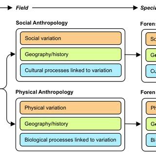 Roles Functions And Relations Of Forensic And Expert Social Download Scientific Diagram