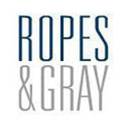 Gray Ropes for Climbing and Sailing: Strength and Durability