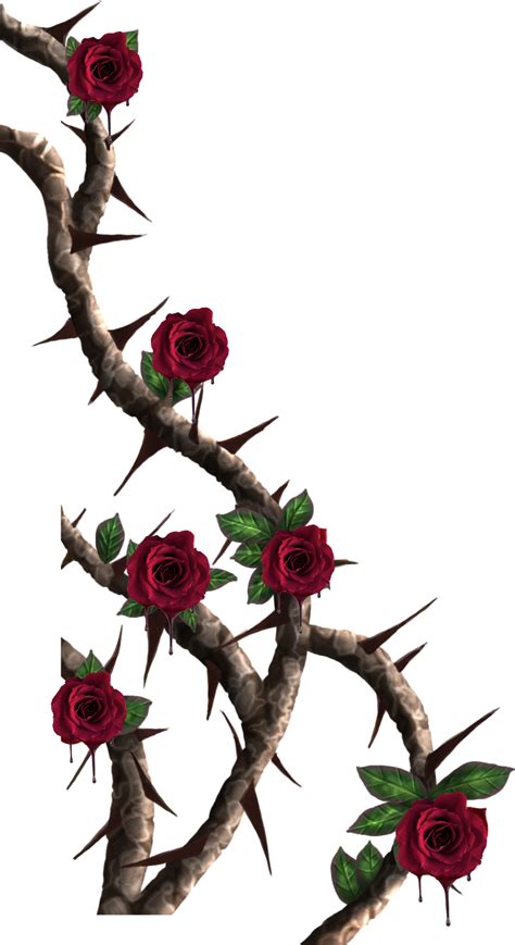 Rose Vine Drawing Designs Free Download On Clipartmag