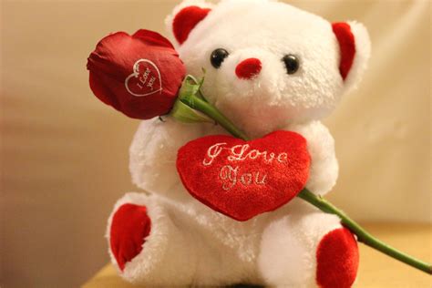 5 Ways Roses and Teddy Bears Make Perfect Gifts